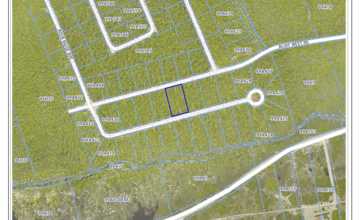 LITTLE DOLPHIN ESTATE 0.3255 ACRES, CAYMAN BRAC