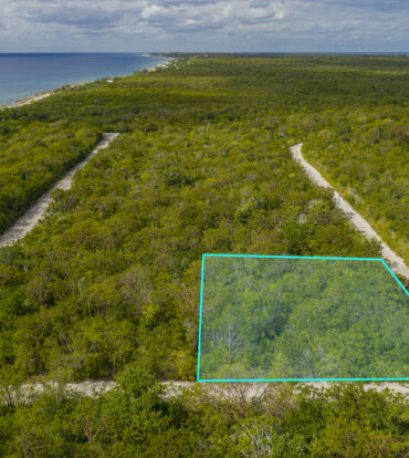 CAYMAN BRAC SELWORTHY GROVE LAND PARCEL