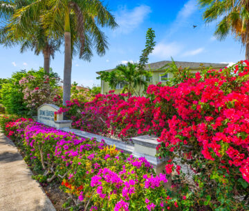 STONE HAVEN 14, GEORGE TOWN CONDO