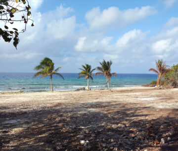 2.75 ACRES OF BEACH FRONT LAND ON THE NORTH COAST CAYMAN BRAC