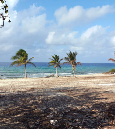 2.75 ACRES OF BEACH FRONT LAND ON THE NORTH COAST CAYMAN BRAC