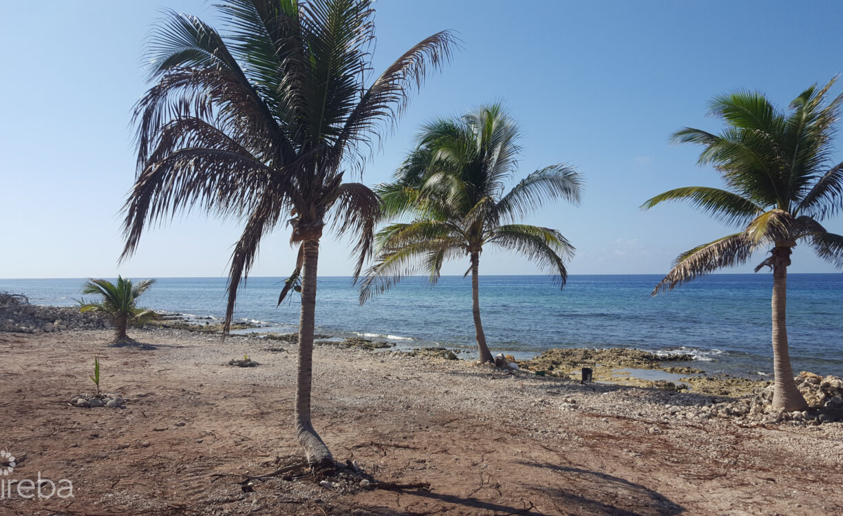 2.75 ACRES OF BEACH FRONT LAND ON THE NORTH COAST CAYMAN BRAC
