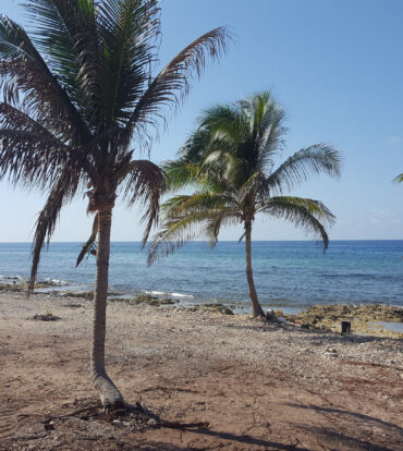 2.75 ACRES OF BEACH FRONT LAND ON THE NORTH COAST CAYMAN BRAC