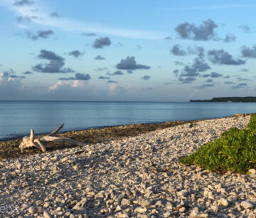 PRIMIER WATERFRONT LOT CAYMAN BRAC
