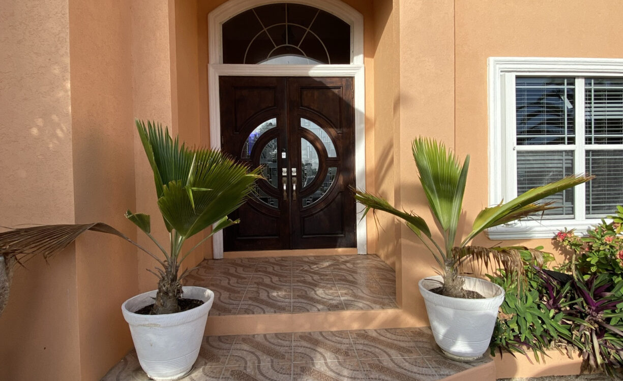 PARADISE PALMS