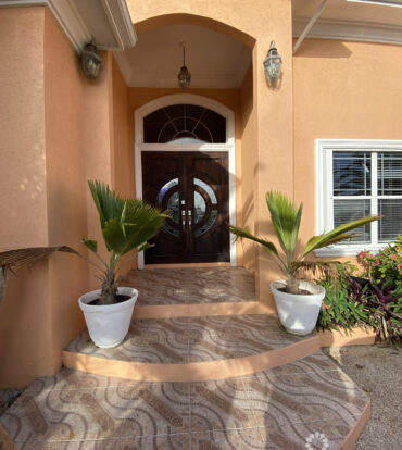 PARADISE PALMS