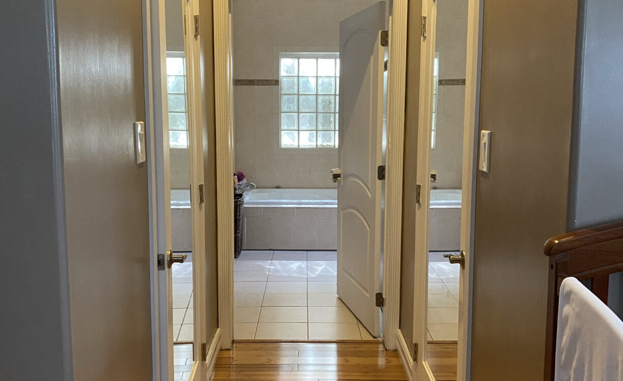 PARADISE PALMS