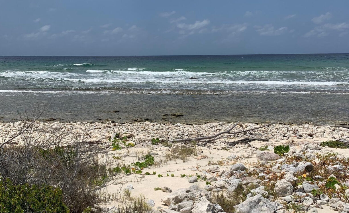 NORTHSIDE OCEAN FRONT AND INLAND PROPERTY