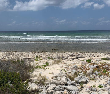 NORTHSIDE OCEAN FRONT AND INLAND PROPERTY