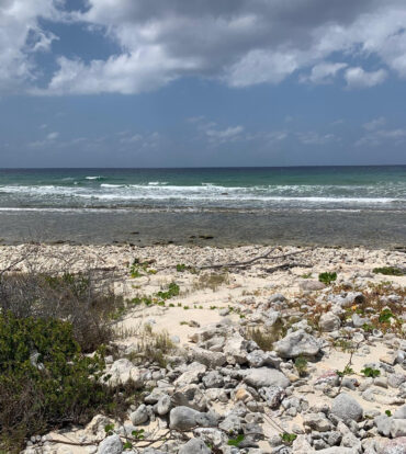NORTHSIDE OCEAN FRONT AND INLAND PROPERTY