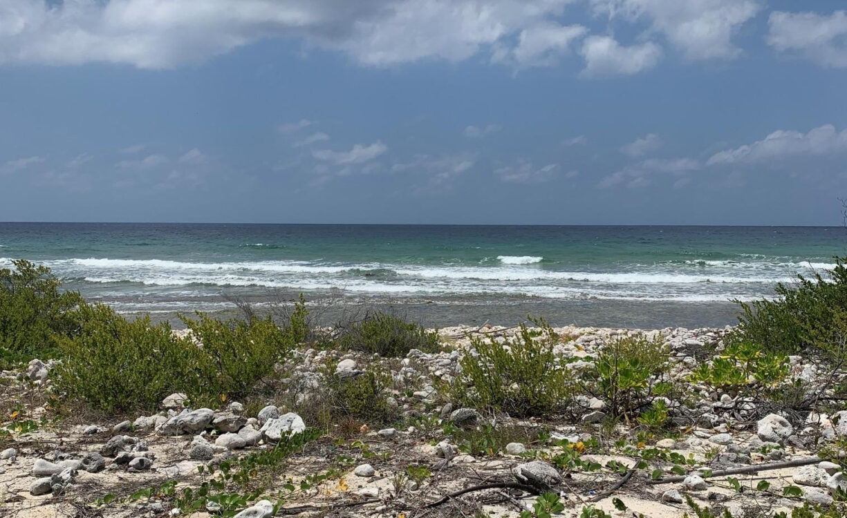NORTHSIDE OCEAN FRONT AND INLAND PROPERTY