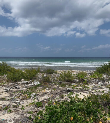 NORTHSIDE OCEAN FRONT AND INLAND PROPERTY