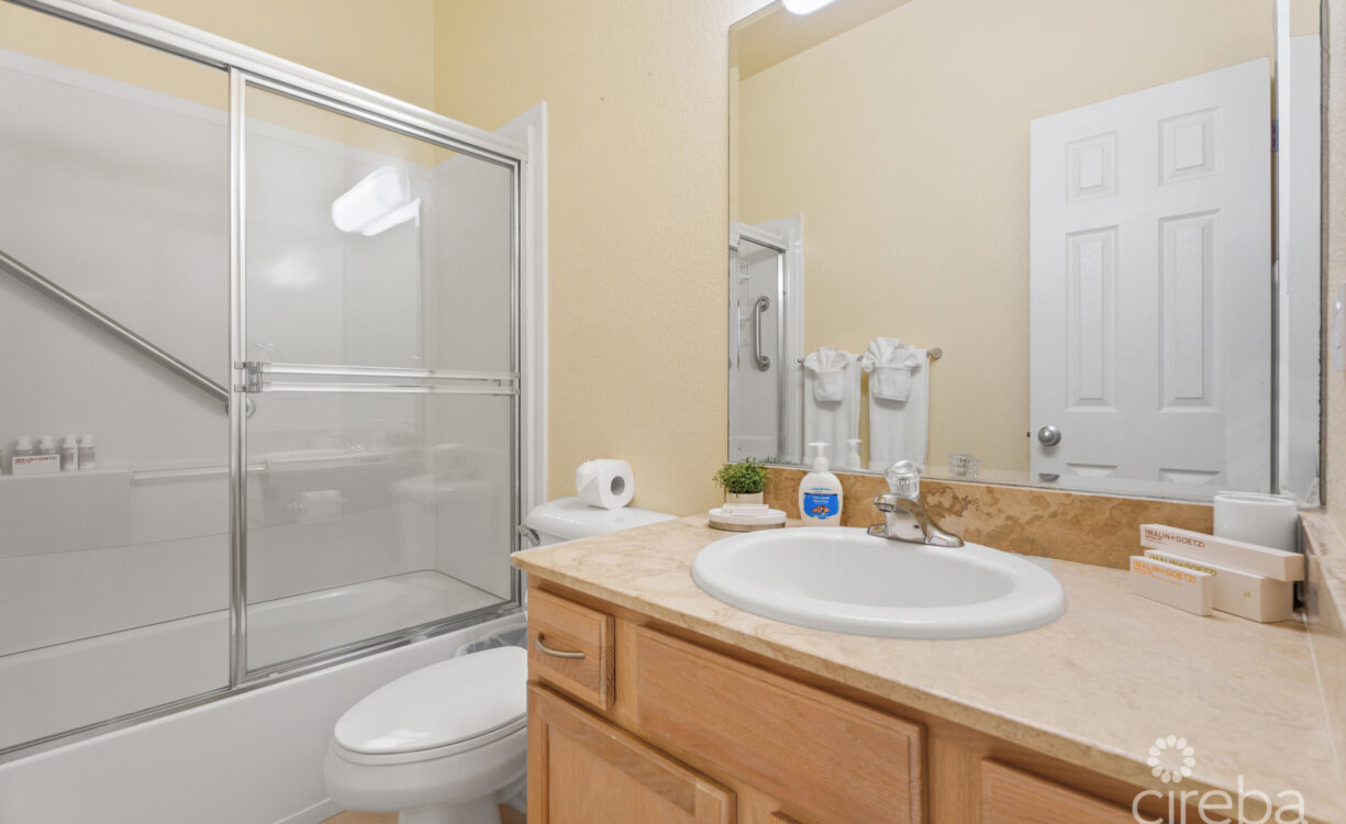 guest bathroom with safety bars