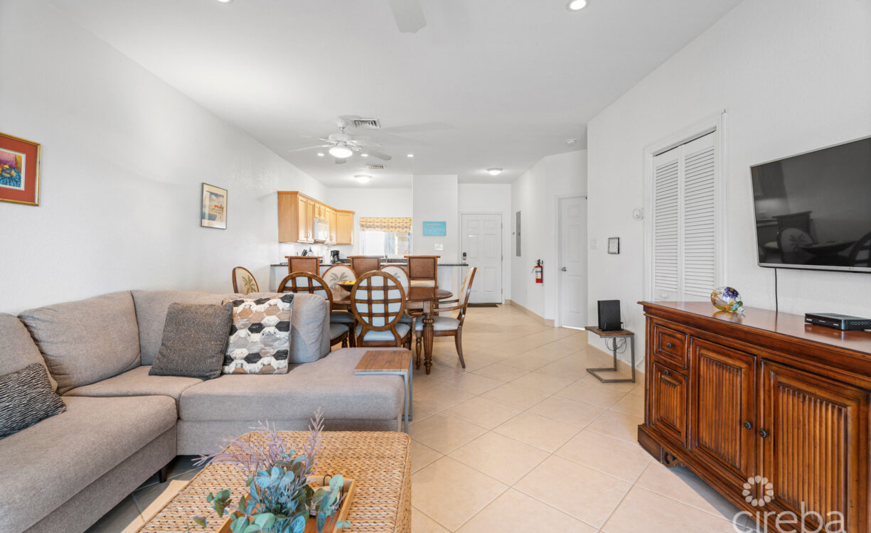 open concept kitchen, dining and living room