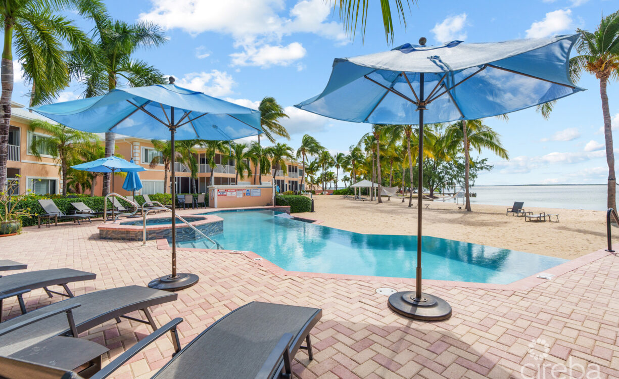 pool deck area