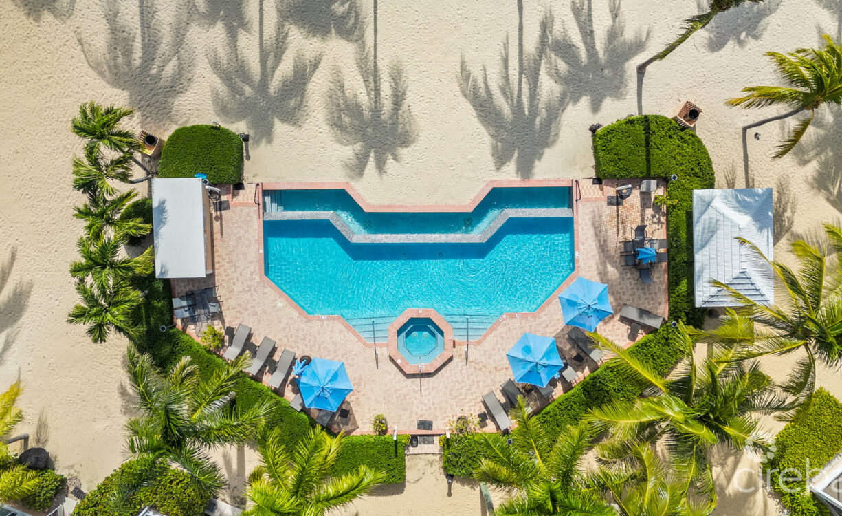bird's eye view of pool deck