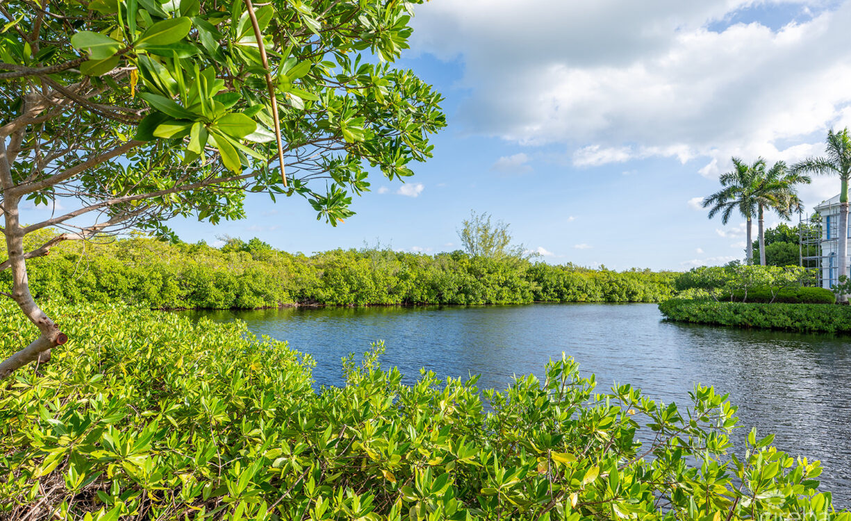 THE ORCHARD AT SALT CREEK | 32 CREEKSIDE COURT | A SALT CREEK ESTATE