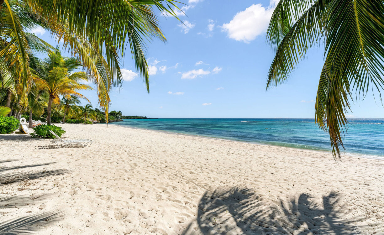 SUPERB VALUE AND VIEWS ON SPOTTS BEACH - 15 CORAL BAY VILLAGE