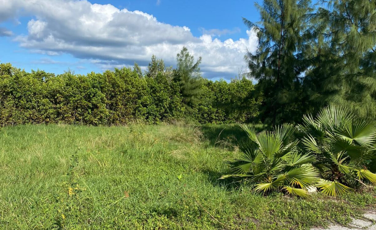 PEASE BAY LAKES LAKEFRONT LOT