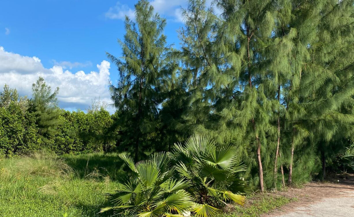 PEASE BAY LAKES LAKEFRONT LOT