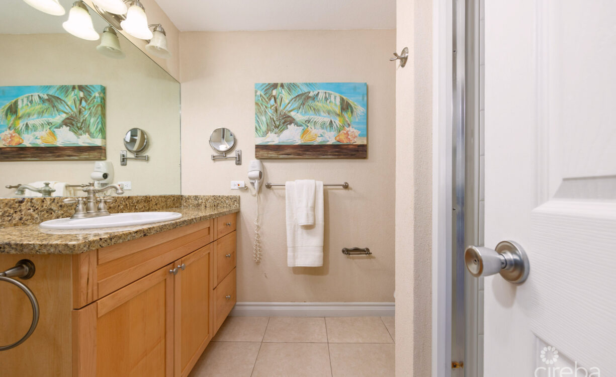 NORTH POINTE BEACHFRONT CONDO