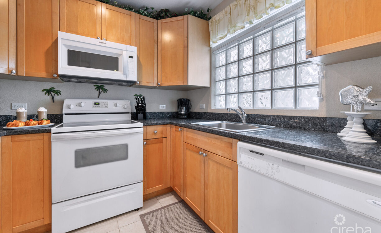 NORTH POINTE BEACHFRONT CONDO
