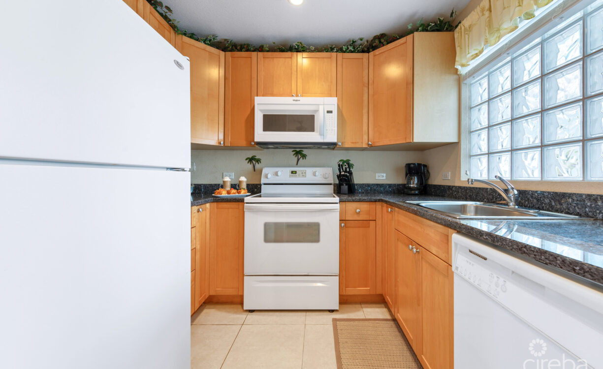 NORTH POINTE BEACHFRONT CONDO