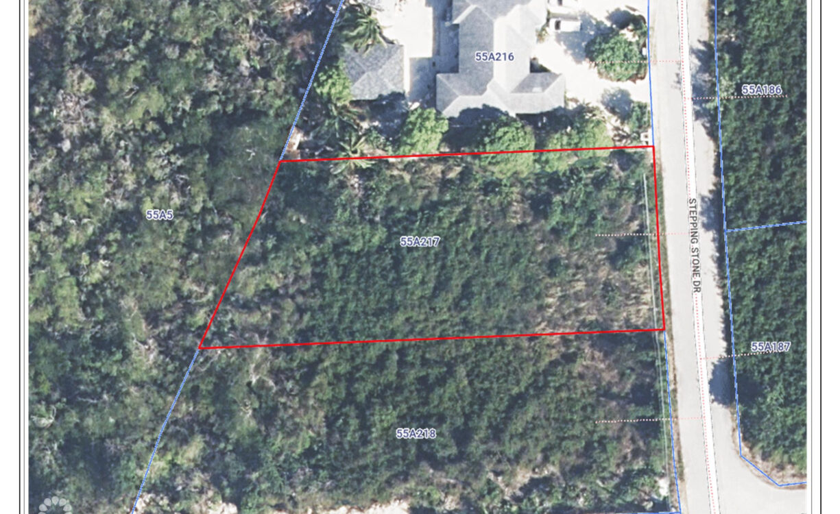 STEPPING STONES LAND 0.3445 ACRES