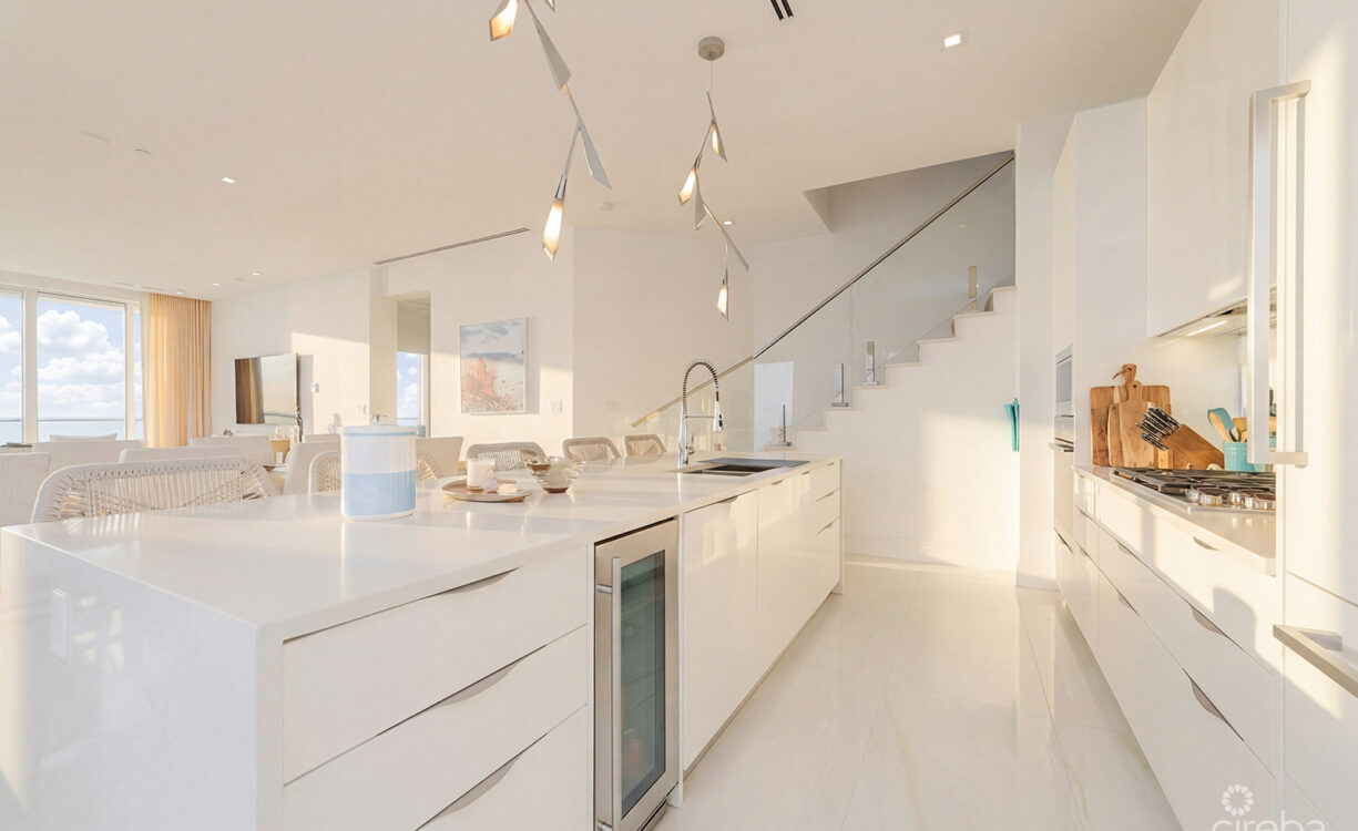 FIN PENTHOUSE 29