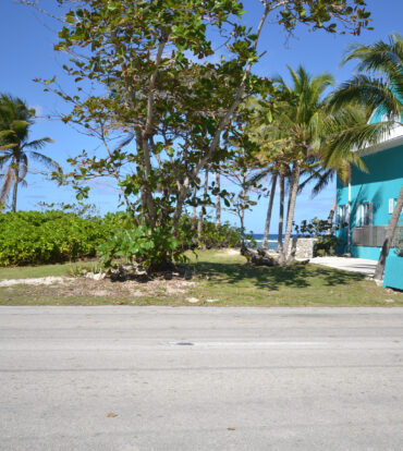 NORTH SIDE LAND