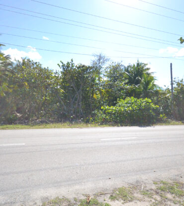 NORTH SIDE LAND