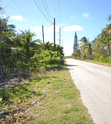 NORTH SIDE LAND