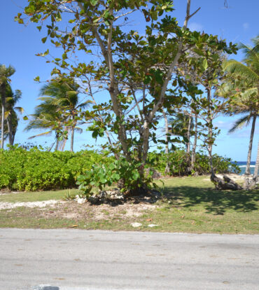 NORTH SIDE LAND