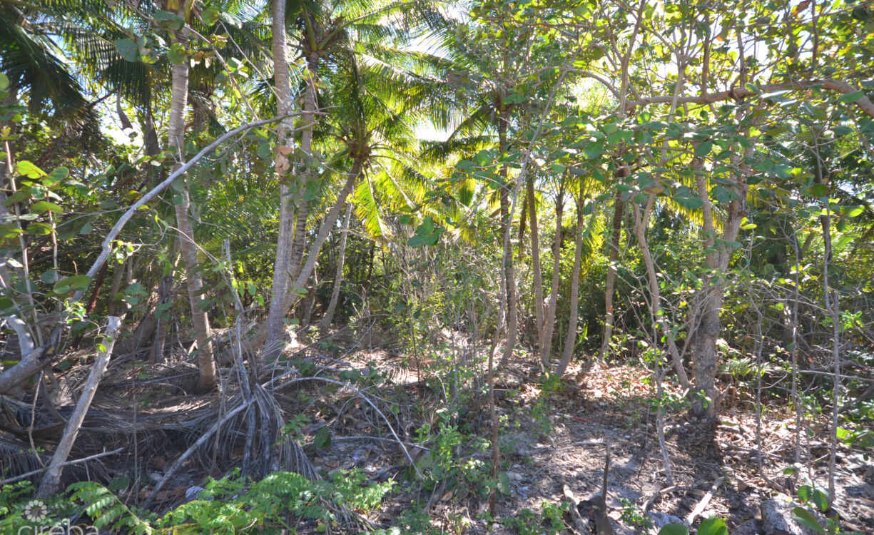 NORTH SIDE LAND