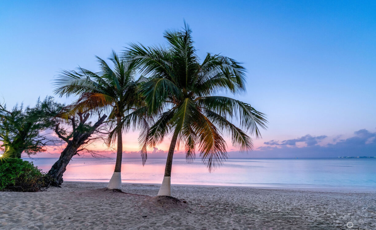 BEACHFRONT BLISS AT CAYMAN CLUB | SEVEN MILE BEACH