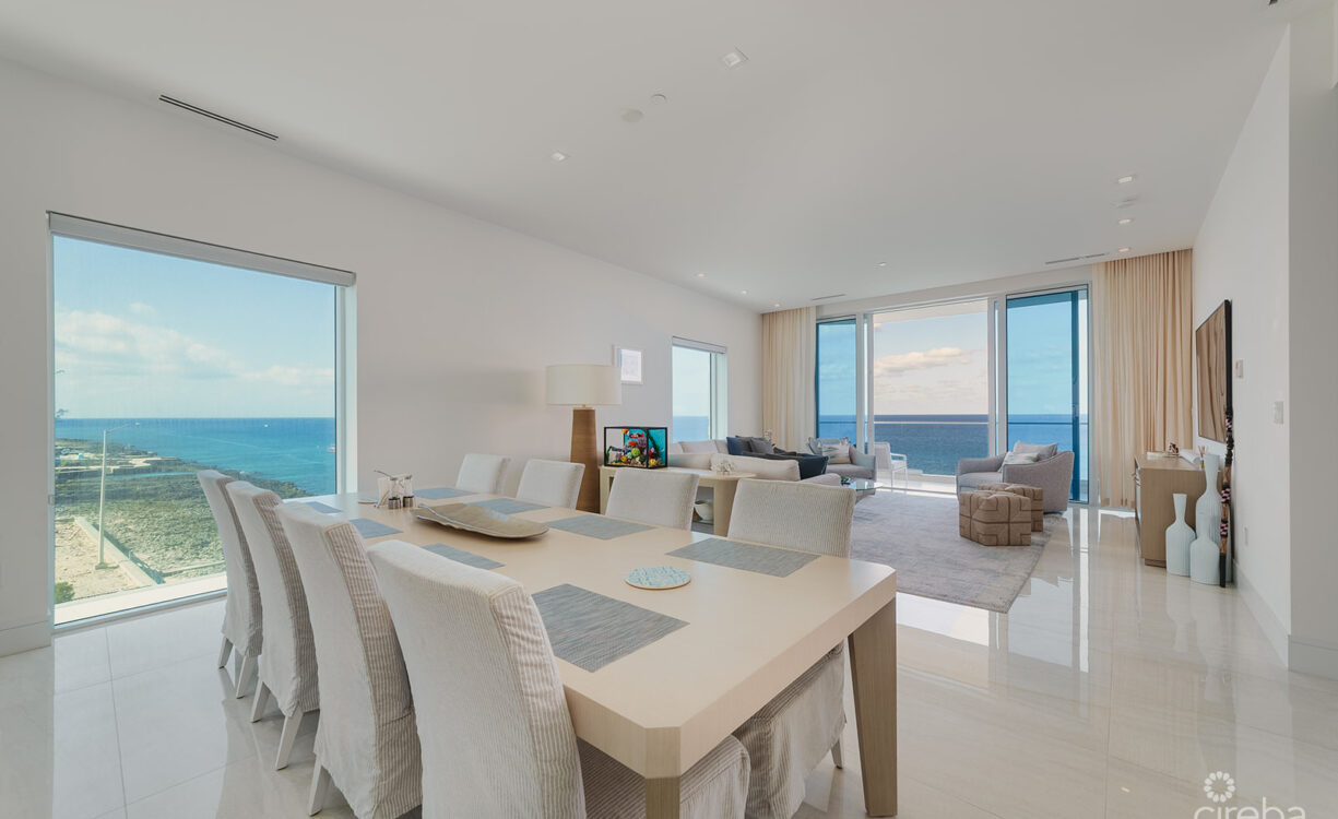 FIN PENTHOUSE 29