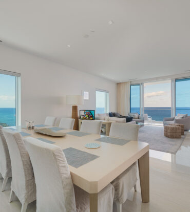 FIN PENTHOUSE 29