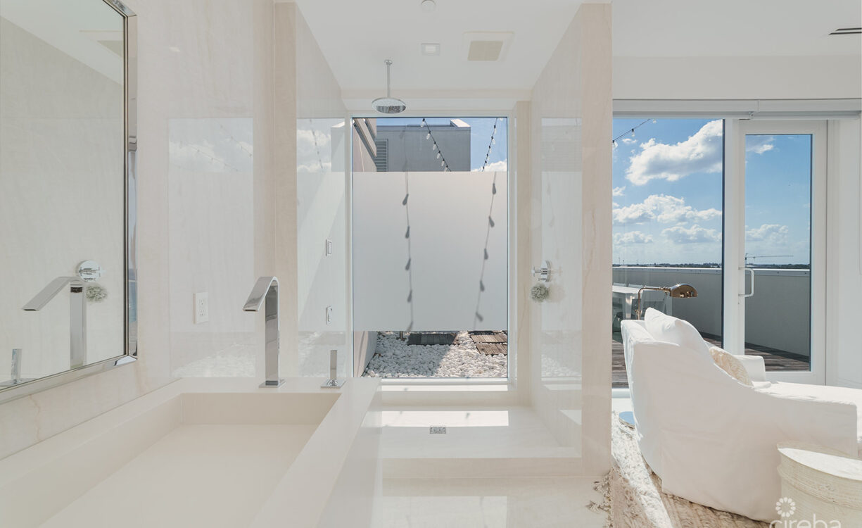 FIN PENTHOUSE 29