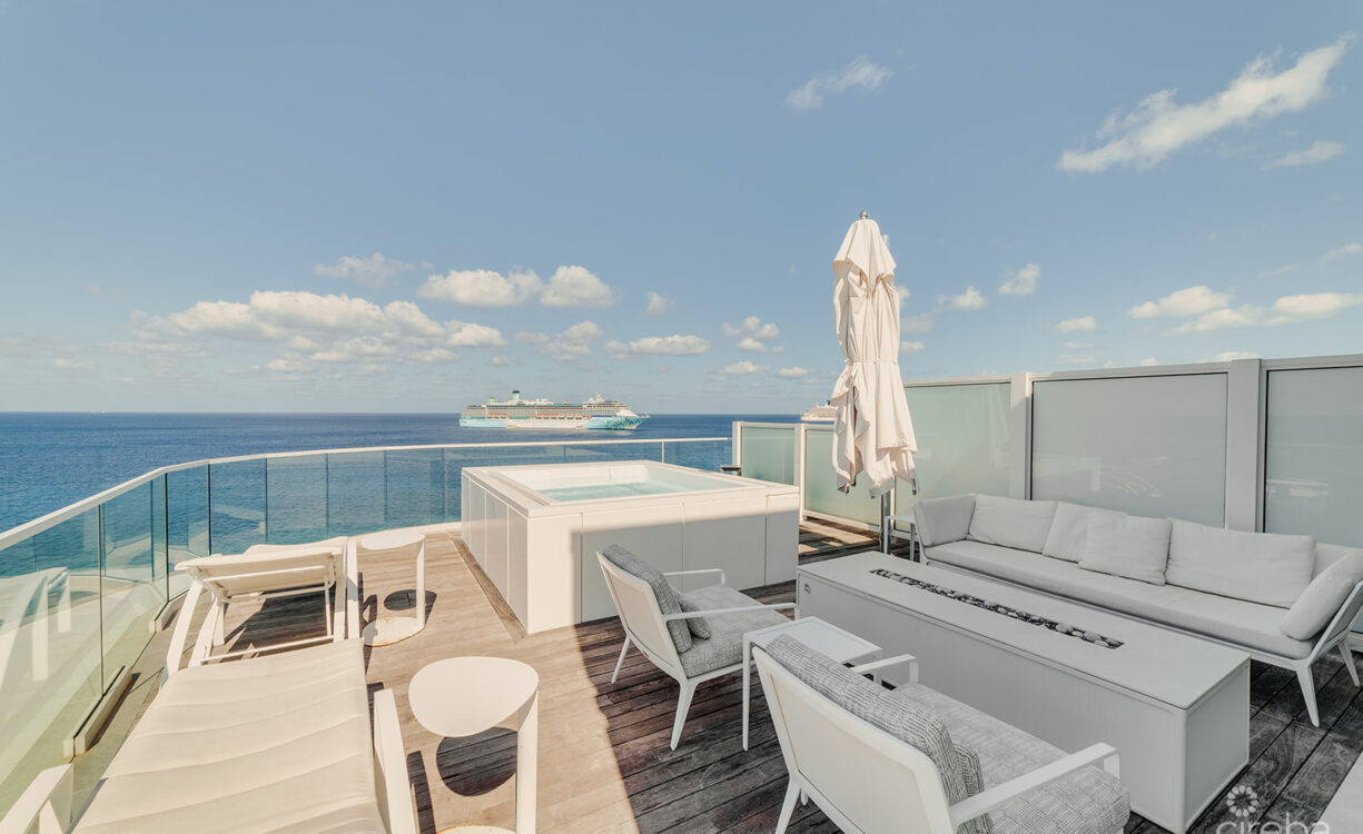 FIN PENTHOUSE 29