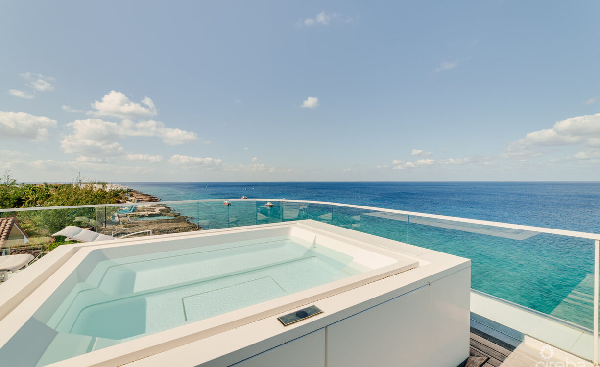 FIN PENTHOUSE 29