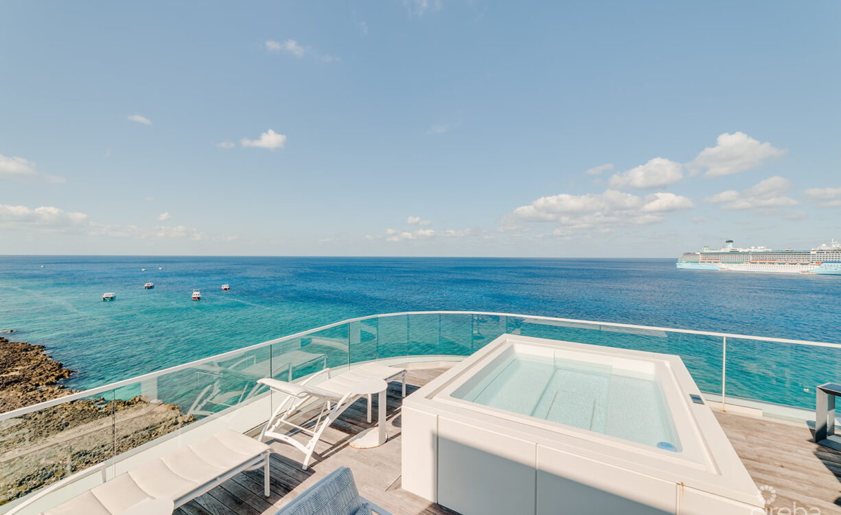 FIN PENTHOUSE 29