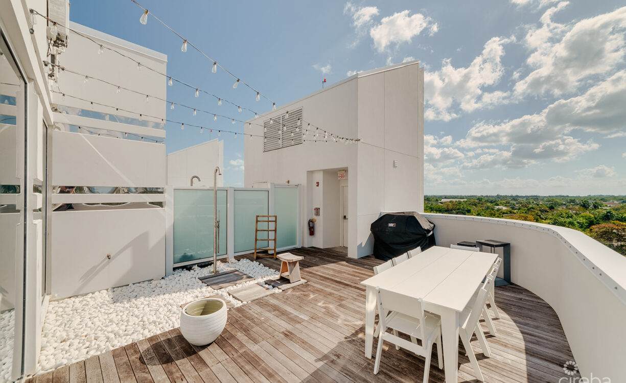 FIN PENTHOUSE 29