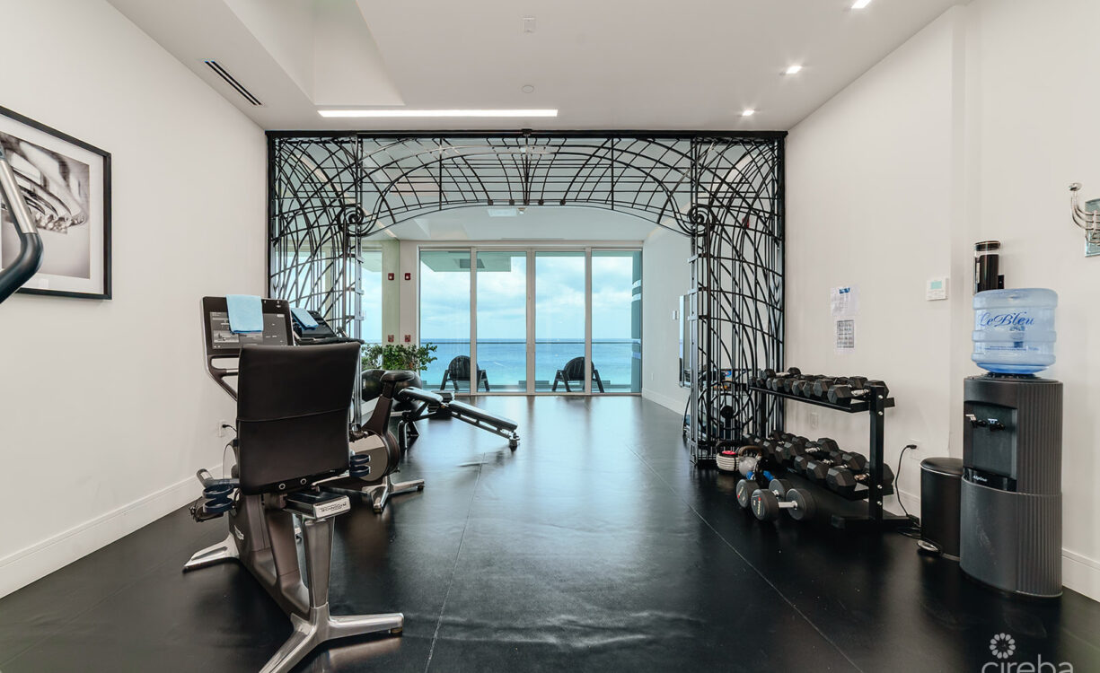 FIN PENTHOUSE 29