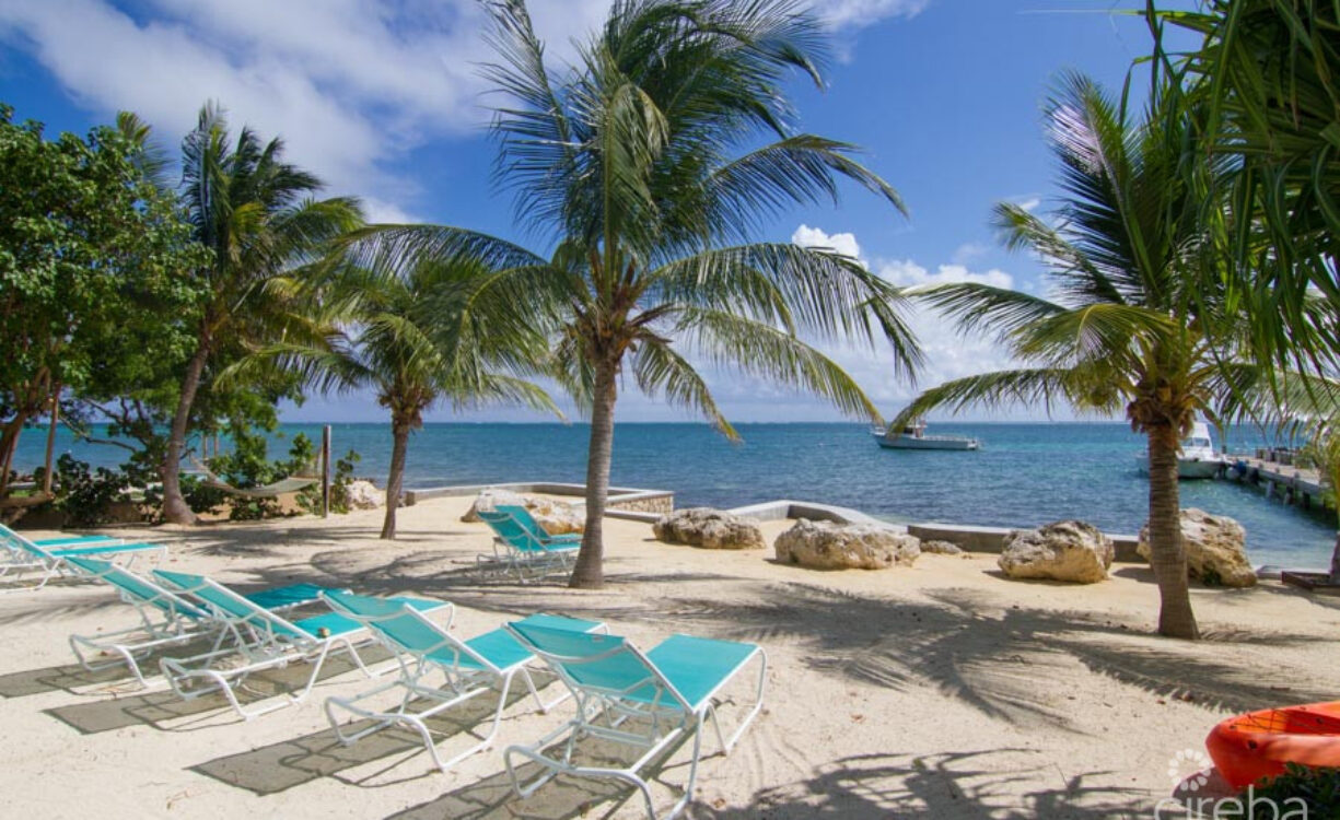 COMPASS POINT ONE BEDROOM 205