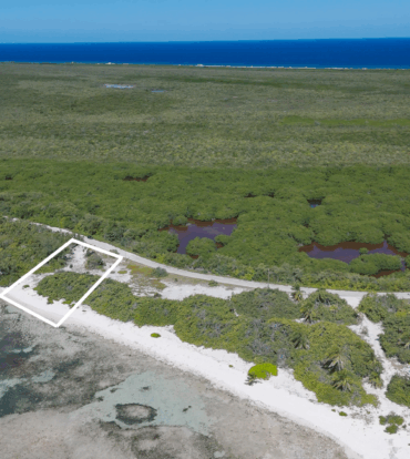 LITTLE CAYMAN BEACHFRONT LOT DIGGARY POINT