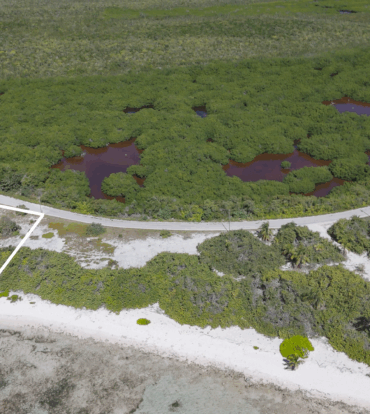 LITTLE CAYMAN BEACHFRONT LOT DIGGARY POINT