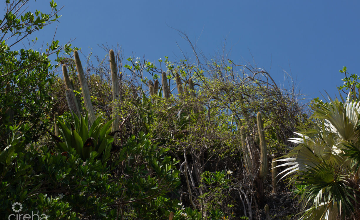 BLUFF EDGE DEVELOPMENT SITE | CAYMAN BRAC