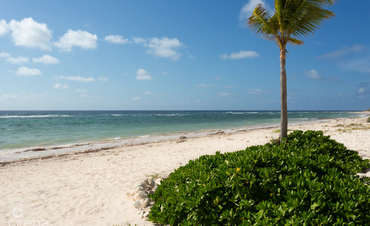 BLUFF EDGE DEVELOPMENT SITE | CAYMAN BRAC
