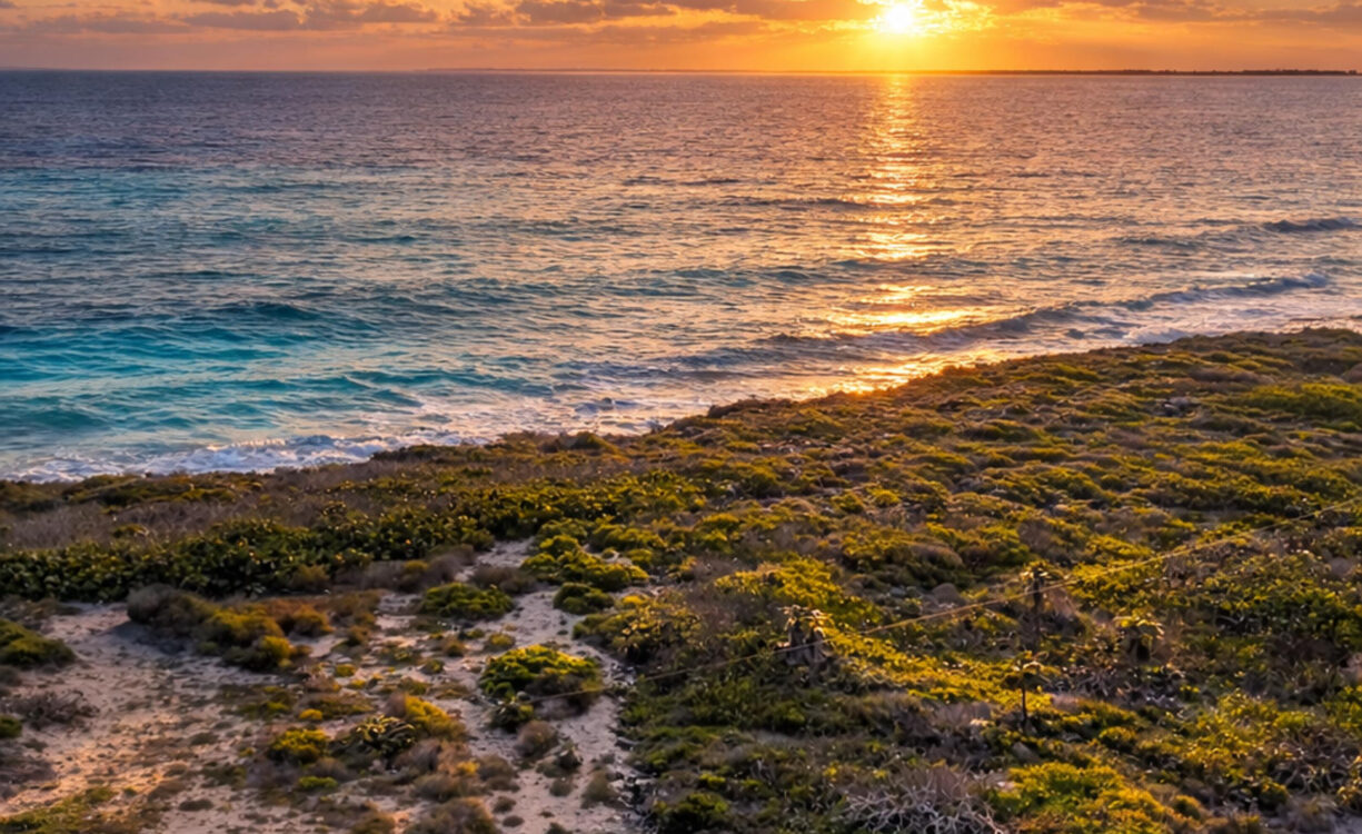LITTLE CAYMAN EAST COAST OCEANFRONT PARCEL - 0.53 ACRES