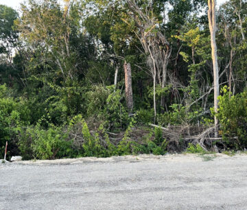 CAYMAN BRAC CENTRAL LAND